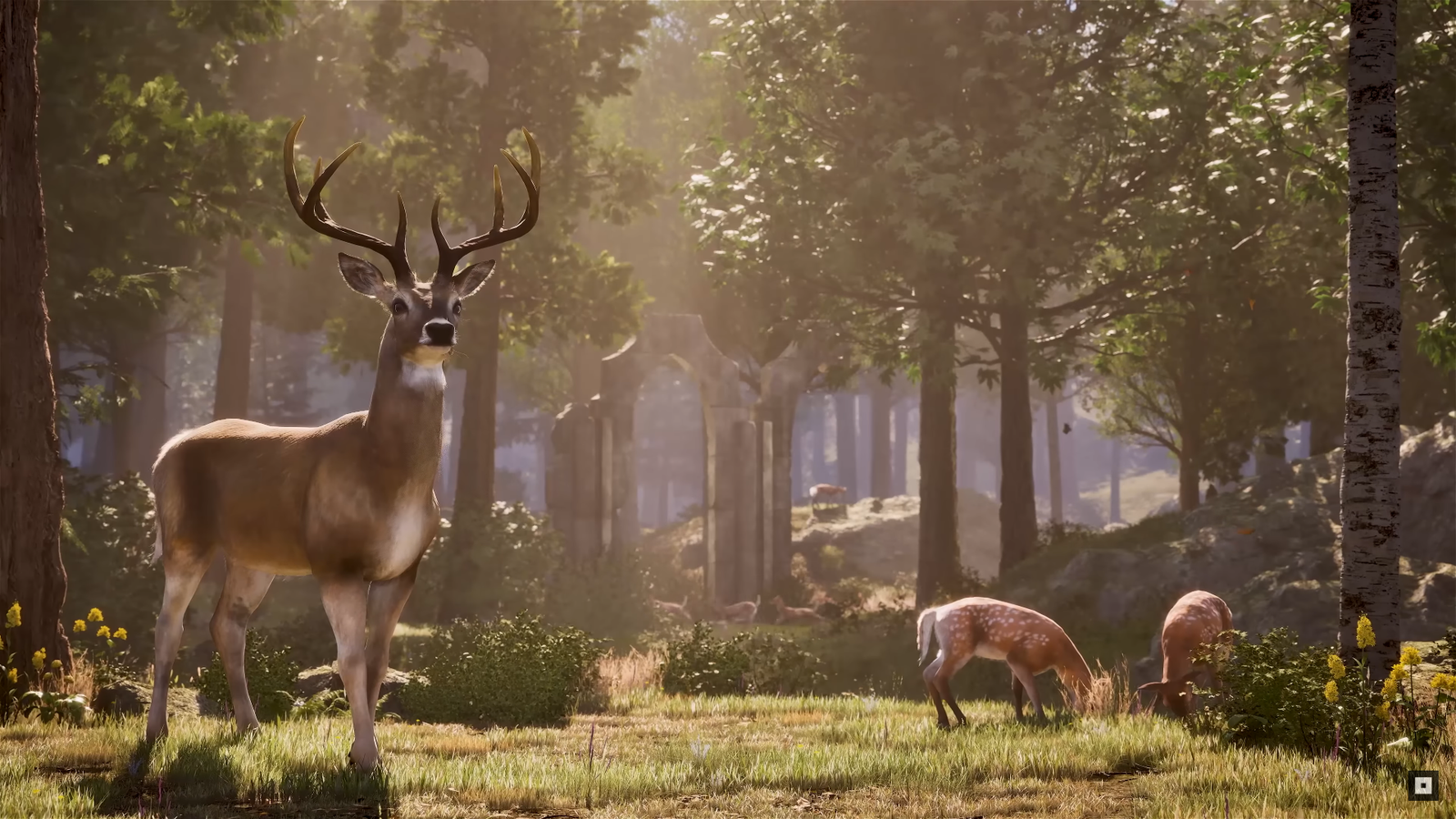 Elder Scrolls IV Oblivion Remaster Released With Stunning Details